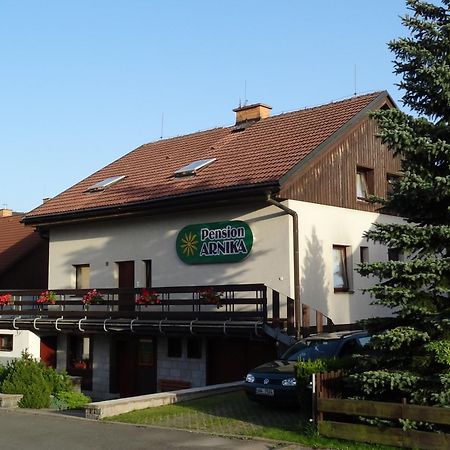 Pension Arnika Destné v Orlických horách Exterior foto