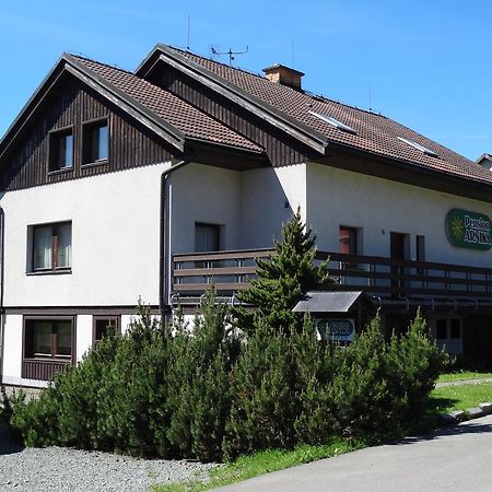 Pension Arnika Destné v Orlických horách Exterior foto