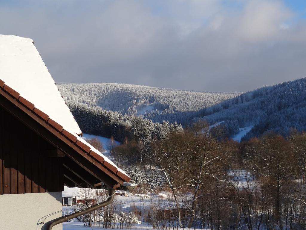 Pension Arnika Destné v Orlických horách Exterior foto