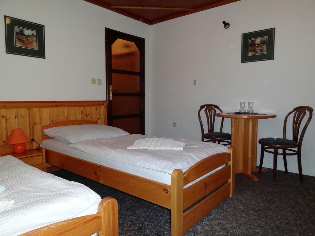 Pension Arnika Destné v Orlických horách Exterior foto
